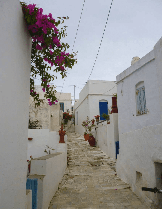 Stone path bordered by whitewashed Cycladic buildings and bougainvillea in the village of Artemonas, Sifnos